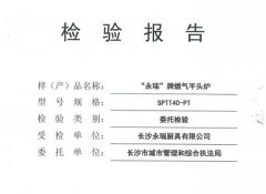 婁底燃?xì)馄筋^爐檢驗報告